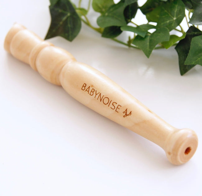 Babynoise - Recorder