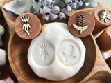 Beadie Bug Play - Play Dough Stamps - Australian Animals
