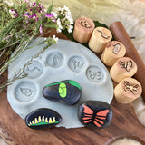 Beadie Bug Play - Play Dough Stamps - Butterfly Life Cycle