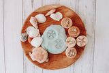 Beadie Bug Play - Play Dough Stamps - Sea Creatures