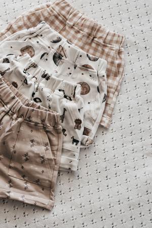 Bencer + Hazelnut Shorts - Gingham