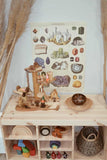 Growing Kind - Crystal Discovery Kit