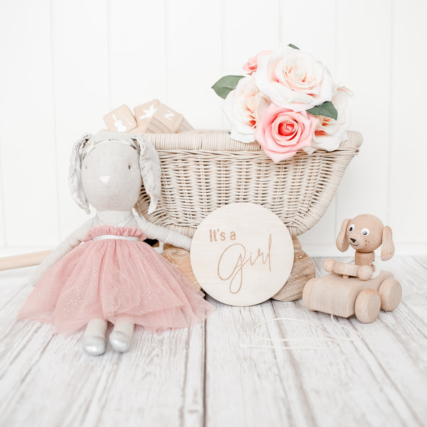 Hello Fern Gender Announcement Disc - Girl - Classic