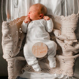 Hello Fern Wooden Month Milestone Disc Set - Classic