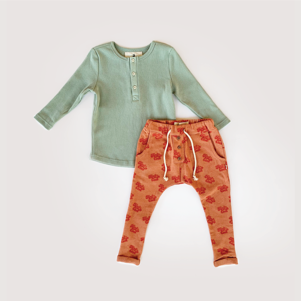 My Brother John - Ziggy Long Johns