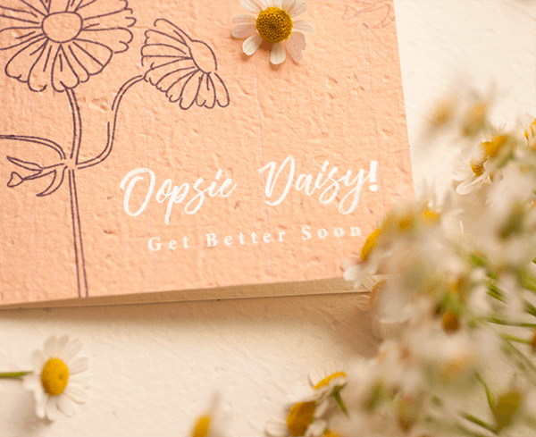 Nurturing Nature Cards - Oopsie Daisy Get Well Soon Plantable Greeting Card