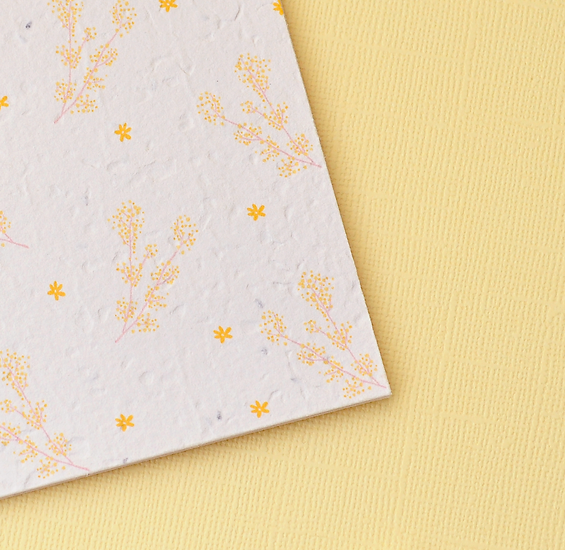 Nurturing Nature Cards - Daisee Plantable Greeting Card