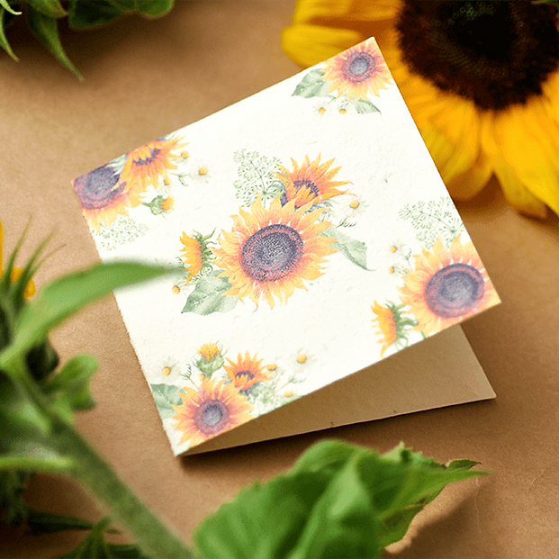 Nurturing Nature Cards - Keshia Plantable Greeting Card