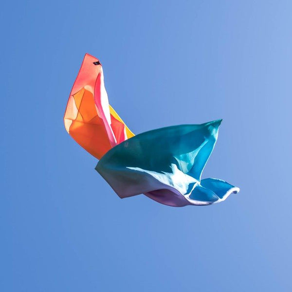 Play Silkies - Rainbow Silk