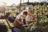Seeds For Tomorrow - Grow with Gratitude Kit