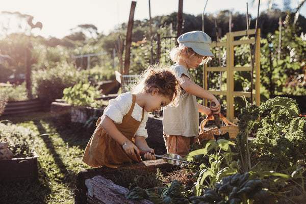 Seeds For Tomorrow - Grow with Gratitude Kit