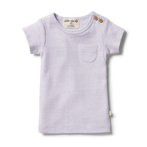 Wilson & Frenchy Organic Stripe Tee - Lavender Ecru