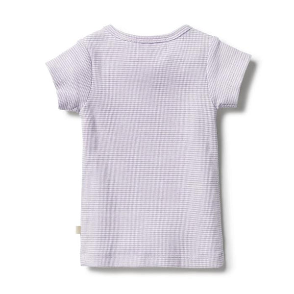 Wilson & Frenchy Organic Stripe Tee - Lavender Ecru