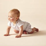 Wilson & Frenchy Organic Stripe Tee - Lavender Ecru