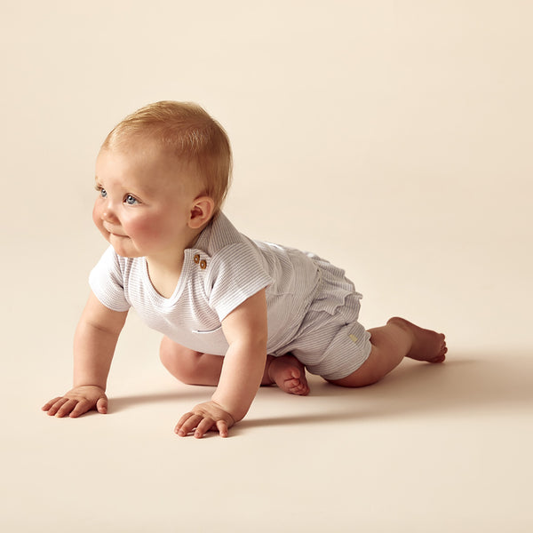 Wilson & Frenchy Organic Stripe Tee - Lavender Ecru