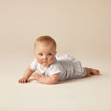 Wilson & Frenchy Organic Stripe Tee - Lavender Ecru