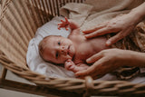Wind & Willow Co Organic Cotton and Bamboo Swaddle - Owl Brown