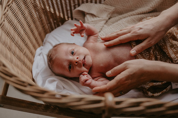 Wind & Willow Co Organic Cotton and Bamboo Swaddle - Owl Brown