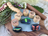 Beadie Bug Play - Play Dough Stamps - Butterfly Life Cycle